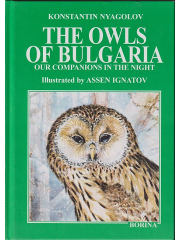 The Owls of Bulgaria