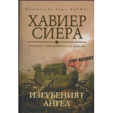 Изгубеният ангел