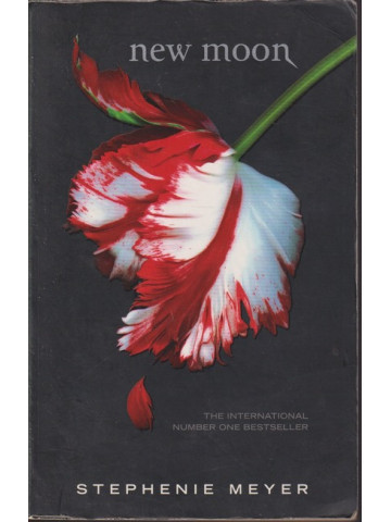 New Moon New Moon