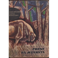 Синът на мечката Синът на мечката