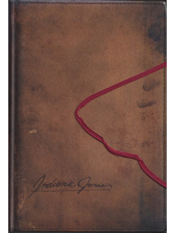 Изчезналият дневник на Индиана Джоунс