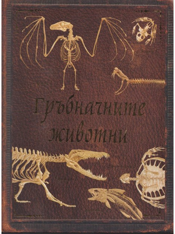 Гръбначните животни Гръбначните животни