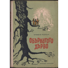 Обърнатото дърво