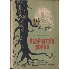 Обърнатото дърво