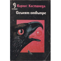 Огънят отвътре