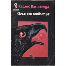 Огънят отвътре